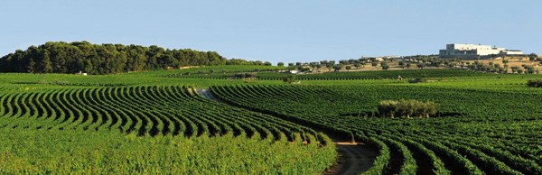 panoramica masseria