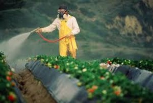 Attenzione al glifosate e ai pesticidi da parte dei medici ISDE