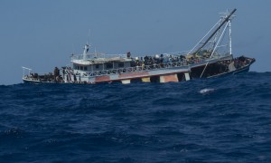  Migranti