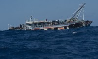  Migranti