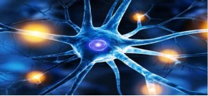 Ischemia cerebrale: nuove prospettive terapeutiche dal &quot;riposizionamento&quot; del Montelukast