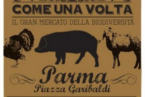 Come una volta, il gran mercato della biodiversità a Parma