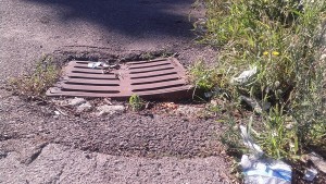 Pulsano (Taranto) - Il Meetup segnala al Comune il degrado del verde e delle strade