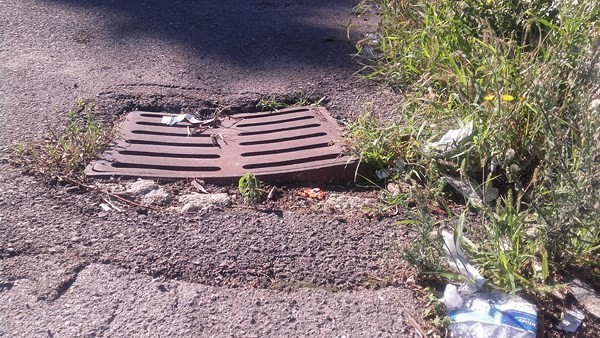 Pulsano (Taranto) - Il Meetup segnala al Comune il degrado del verde e delle strade
