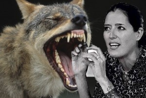 Rai1 Intesa Vincente, il lupo, il crepi, e la «bufala ecologista»