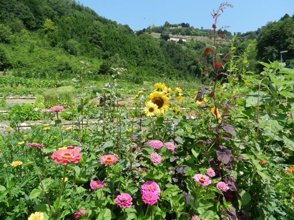 Bergamo - La Valle della Biodiversità si amplia per oltre 2 ettari