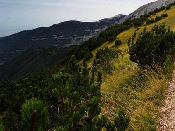 Viaggi green, italiani sempre più turisti sostenibili