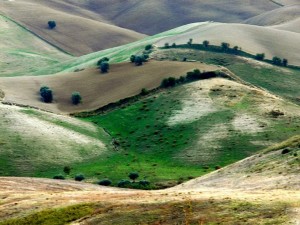 Basilicata - L’assessore Pietrantuono, «Il paesaggio prima di tutto»