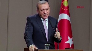 Turkish-backed incursion &#039;liberates&#039; 400 sq km of northern Syria - President Erdogan