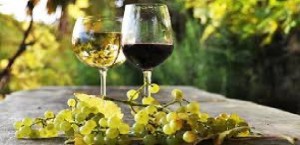 Made in Italy: Condannato il venditore di wine kit con nomi di vini italiani se non può provare che il mosto proviene da vitigni nostrani