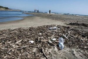 Mare pattumiera: 32 rifiuti per km quadrato