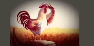 Il canto del gallo disturba i vicini: a processo