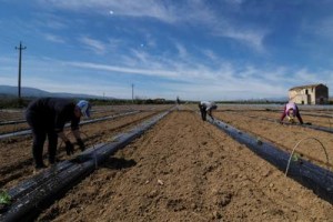 La carica dei lavoratori &#039;invisibili&#039;, sono 3,3 milioni