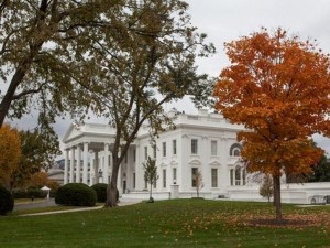 Che festa sarà: Trump si insedia senza star e con le donne in piazza