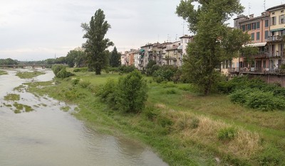 Enti, azienda e ambientalisti per la pulizia del torrente Parma