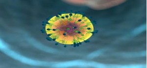 Cellule tumorali visibili, una nuova strada nel campo dellimmunoterapia