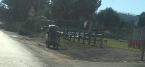 Pulsano (Taranto) - La pista pedonale sulla litoranea poco utile allo sviluppo del turismo