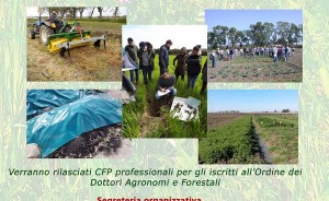 Metaponto (Matera) - Agro-ecologia e innovazione della gestione agronomica in agricoltura biologica