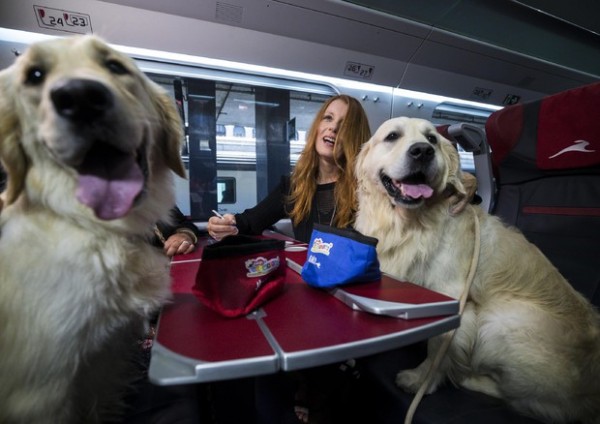 Biglietti gratis per cani di grossa taglia su treni Italo