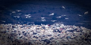 Lizzano – Domenica 22 aprile si manifesta contro la discarica «per la nostra terra»