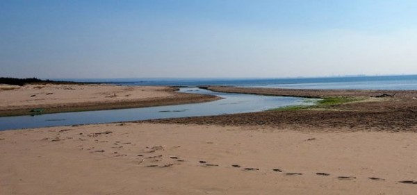Pd Palagianello Il segretario cittadino Antonio Gatti: Taranto) «Facciamo il punto sul fiume Lato»