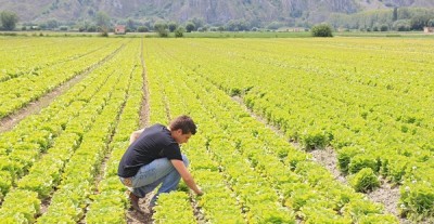 Lazio - Finanziamenti per i giovani agricoltori, prorogati i termini