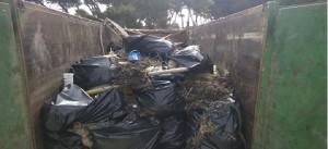 Taranto – Volontari ripuliscono le sponde a mare della Pineta Cimino, lettera aperta al Comune