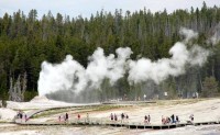 USA Parco Nazionale Yellowstone