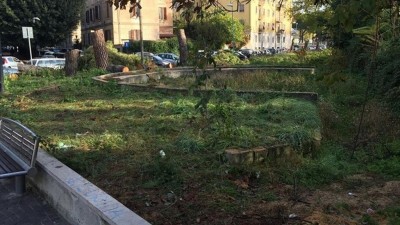 Terni – L’assessore difende le potature degli alberi: “ è messa in sicurezza”