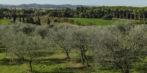 Firenze - Mensola, Amato (alternativa libera): “bene la messa in sicurezza, ma necessario rivedere il progetto”