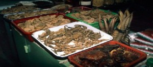 I maggiori esperti di salute e conservazione lanciano appello per chiudere i mercati di fauna selvatica ad alto rischio e contribuire a contenere future epidemie