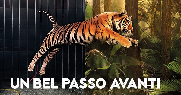 LAV- I circhi con animali hanno i mesi contati