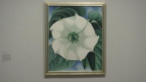 Tate Modern pays tribute to Georgia O&#039;Keeffe and her world view