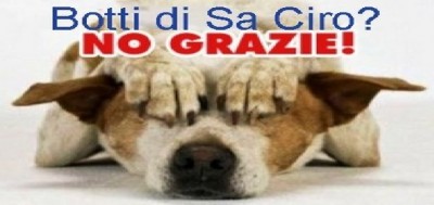 Grottaglie a 5 stelle sui botti di San Ciro - «Passata la festa gabbato lu Santo... e gli animali »