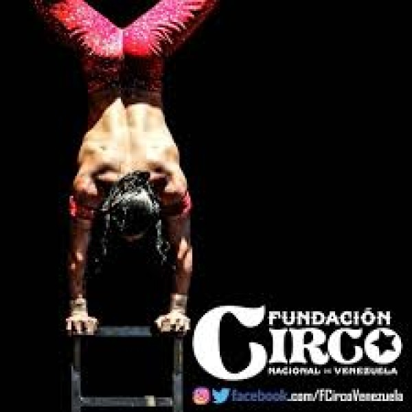 Programacion Circo Nacional de Venezuela y Teatro Nacional