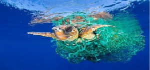 Plastica: WWF, mediterraneo in ‘trappola’, un piccolo mare col 7% della microplastica dispersa nei mari del mondo