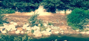 Quattro bombe ecologiche nel cuore del Piemonte
