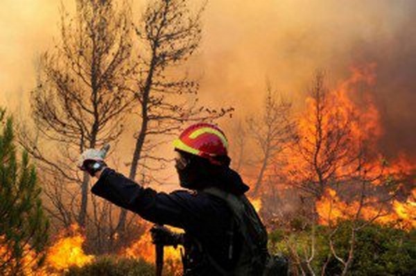 Incendi, Coldiretti: “-53% di pioggia e l’Italia brucia. Danni incalcolabili”