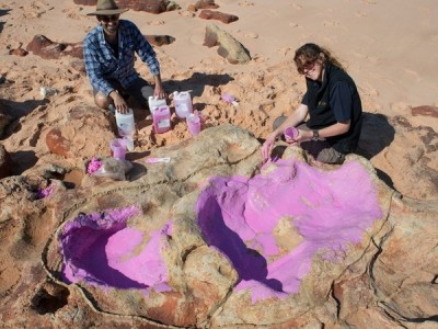 In Australia viveva un dinosauro gigantesco. Trovata l&#039;orma