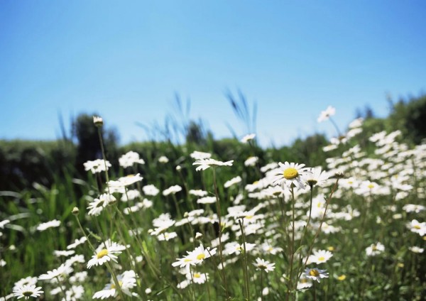 Arriva il primo weekend soleggiato di maggio (ma peggiora di nuovo lunedì)