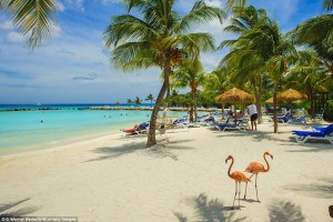 Aruba la regina dei Caraibi