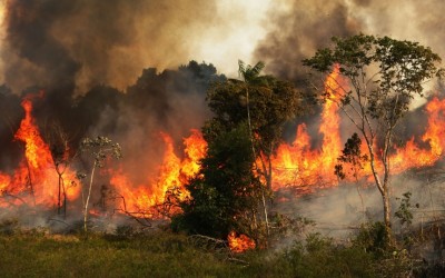 L&#039;Amazzonia brasiliana in fiamme, seria minaccia per l&#039;avvenire