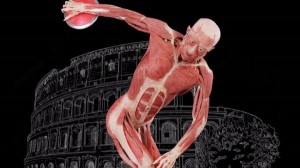 Anatomia degli sport olimpici a Roma dal 15 aprile