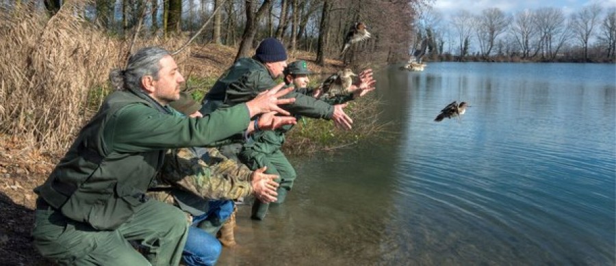 Caccia: WWF, domenica parte ufficialmente la ‘guerra’ contro la fauna d’italia