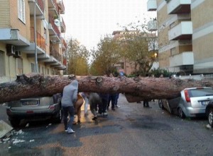 Maltempo, Galletti: a Roma manca la manutenzione