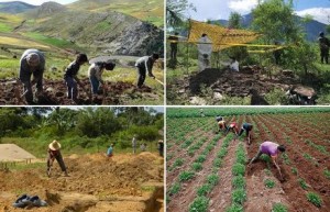 Colombia, il programma di sicurezza alimentare FAO