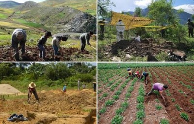Colombia, il programma di sicurezza alimentare FAO