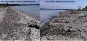 Lettera aperta al sindaco Melucci «Liberiamo le spiagge pubbliche dalle alghe e dalla sterpaglia!»