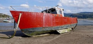 Pesca in Adriatico, D&#039;Amato (M5s): «Bruxelles e le lobby vogliono bloccare storico accordo, noi con i piccoli pescatori di acciughe e sardine»