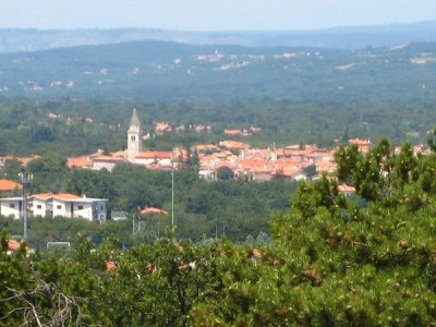 Vino: Felluga (Confagricoltura), per Fvg anno importante